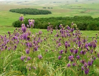 Большой Шихан