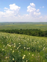 Большой Шихан