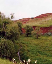 Урочище Батакул