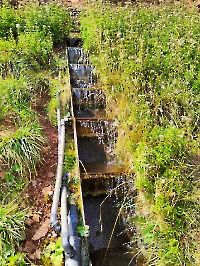 Родник Гремучий