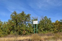 Нагорная дубрава Вязовского уступа