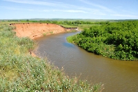 Красиковский яр