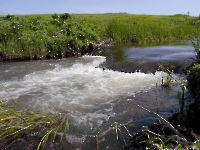 Водопад Шум