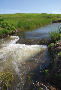 Водопад Шум