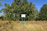 Моховой лес