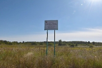 Моховое, Лебяжье и Кочкарное болота