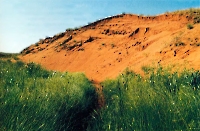 Песчаная дюна на реке Табунок