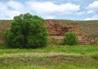 Урочище Красная Яруга