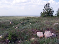 Адамова гора. 2014 год