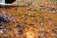 Барчукский родник