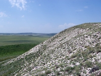 Чесноковские Белые горы. 2014 год