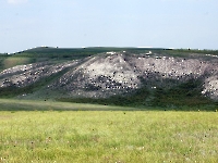 Чесноковские Белые горы. 2014 год