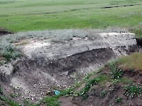 Чесноковские Белые горы. 2014 год