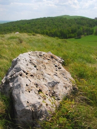 Гора Медвежий лоб (Арапова гора)