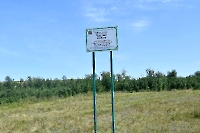 Частые колки