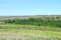 Частые колки