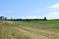 Частые колки