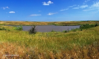 Таловская степь (участок госзаповедника «Оренбургский»)