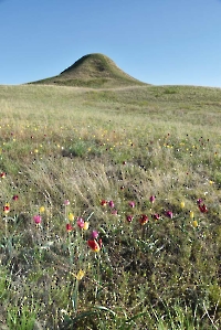 Гора Корсак-Бас (Лисья Голова)