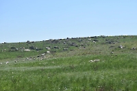 Гора Тасуба (Тас-Тубе)