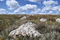 Гора Тасуба (Тас-Тубе)