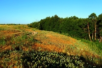 Сагарчинская дача