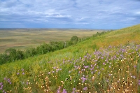 Гора Базарбай