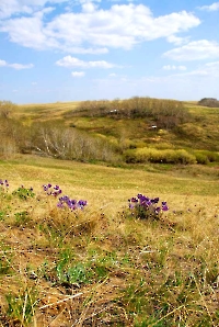 Урочище Мелеуз