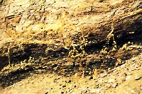 Хобдинский углерудник