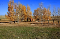 Шаповаловский (Саздинский родник). Октябрь 2011 года