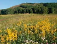 Красный Шихан