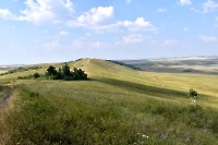 Синие камни