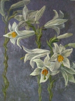 Объедкова Ольга Павловна