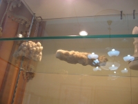 Соль-Илецкий краеведческий музей