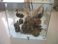 Соль-Илецкий краеведческий музей