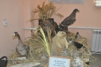 Народный музей посёлка Адамовка