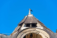 Церковь в честь Покрова Пресвятой Богородицы с. Подгорное. Июнь 2023 года