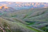 Царская дорога