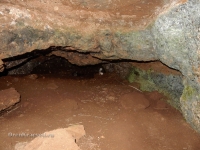 Саракташский район