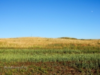 Туембетский рудник. 2016 год