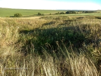 Туембетский рудник. 2016 год