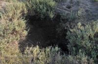 Степные урочища с курганами 