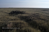 Степные урочища с курганами 