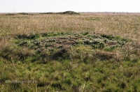 Степные урочища с курганами 