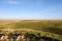 Новоорский район