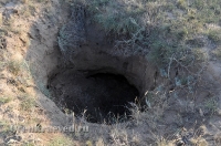 Урочище Иш-Оба (четыре кургана)