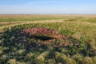 Урочище Иш-Оба (урочище Четыре кургана). Май 2014 года