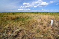 Курган