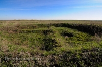 Курганная группа