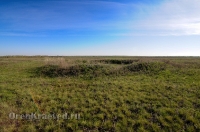 Курганная группа